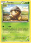 Seedot 009/114 - XY Steam Siege
