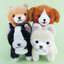 Amuse Mameshiba Sankyodai Plush Doll - Collectors World Toys