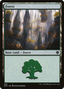 Forest (SCD-349) - Starter Commander Decks