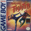 Raging Fighter (Gameboy)