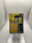 Pokemon Iron Hands