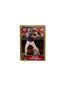 Topps Terry Francona