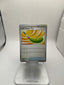 Pokemon Chill Teaser Toy