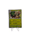 Pokemon Rillaboom