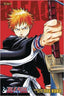 Bleach 3 in 1 VOL 1 - Collectors World Toys