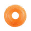 Durable Squeaky Dog Toys for Active Chewers
