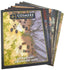 Cosmere Stormlight Adventure Map Pack