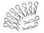 Body Clips 1/8 Scale (10pcs)