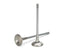 Supertech Subaru EJ20/EJ25 Inconel Exhaust Valve - +1mm Oversize - Set (SEVI-1014-2-8)