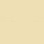 Acrylic Model Paint 1 oz bottle, Radome Tan FS 33613