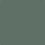 Acrylic Model Paint 1 oz Bottle, SAC Bomber Green FS