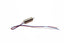Rage RC - Tribus Motor (CW)