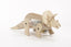Walking Triceratops