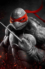 TEENAGE MUTANT NINJA TURTLES #1 (JAY FERGUSON EXCLUSIVE COLOR SPLASH VIRGIN VARIANT B) ~ IDW TMNT