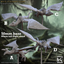 Wild Pterowyvern (Pterodactyls) -
