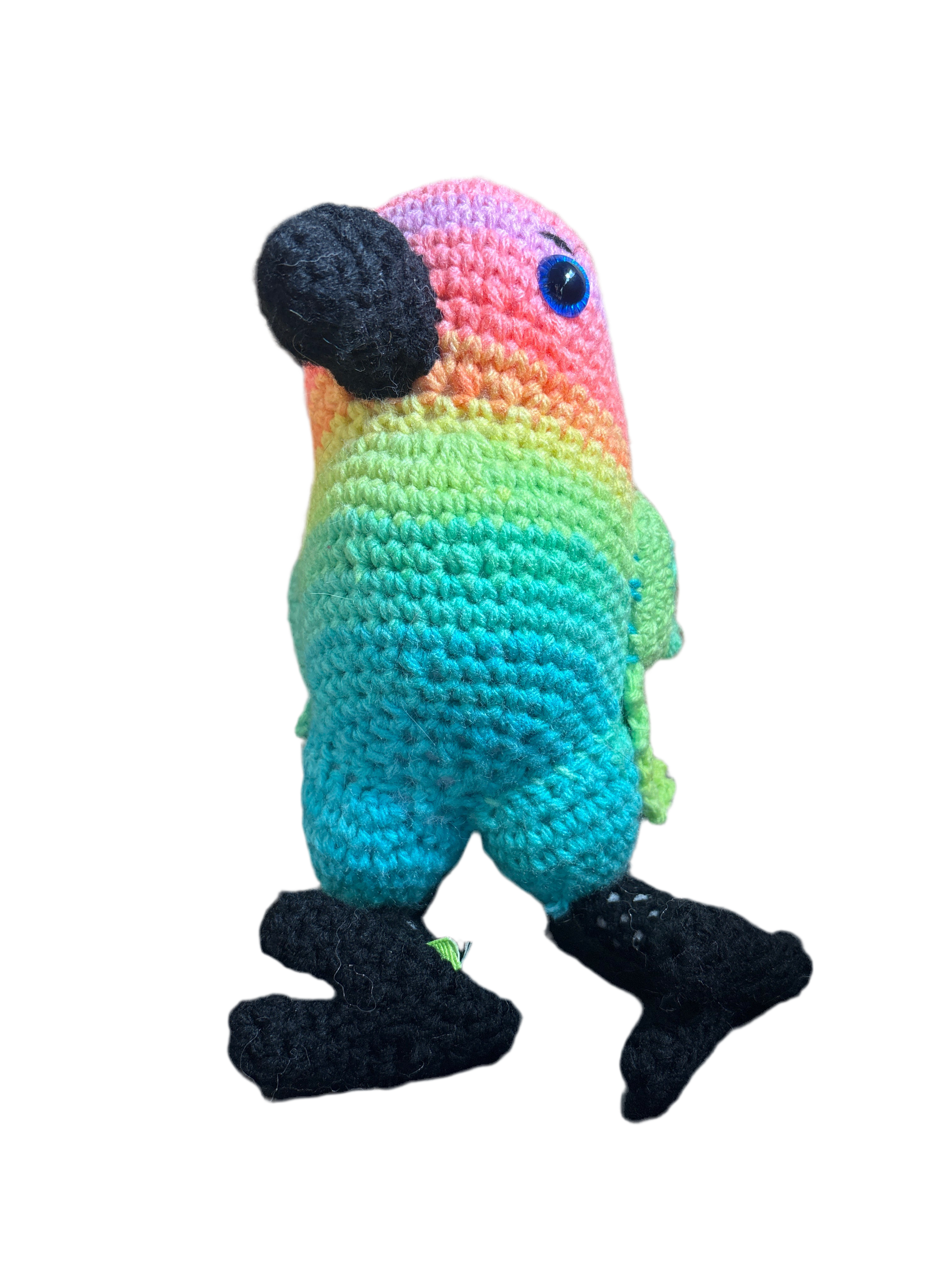 Parrot Main image