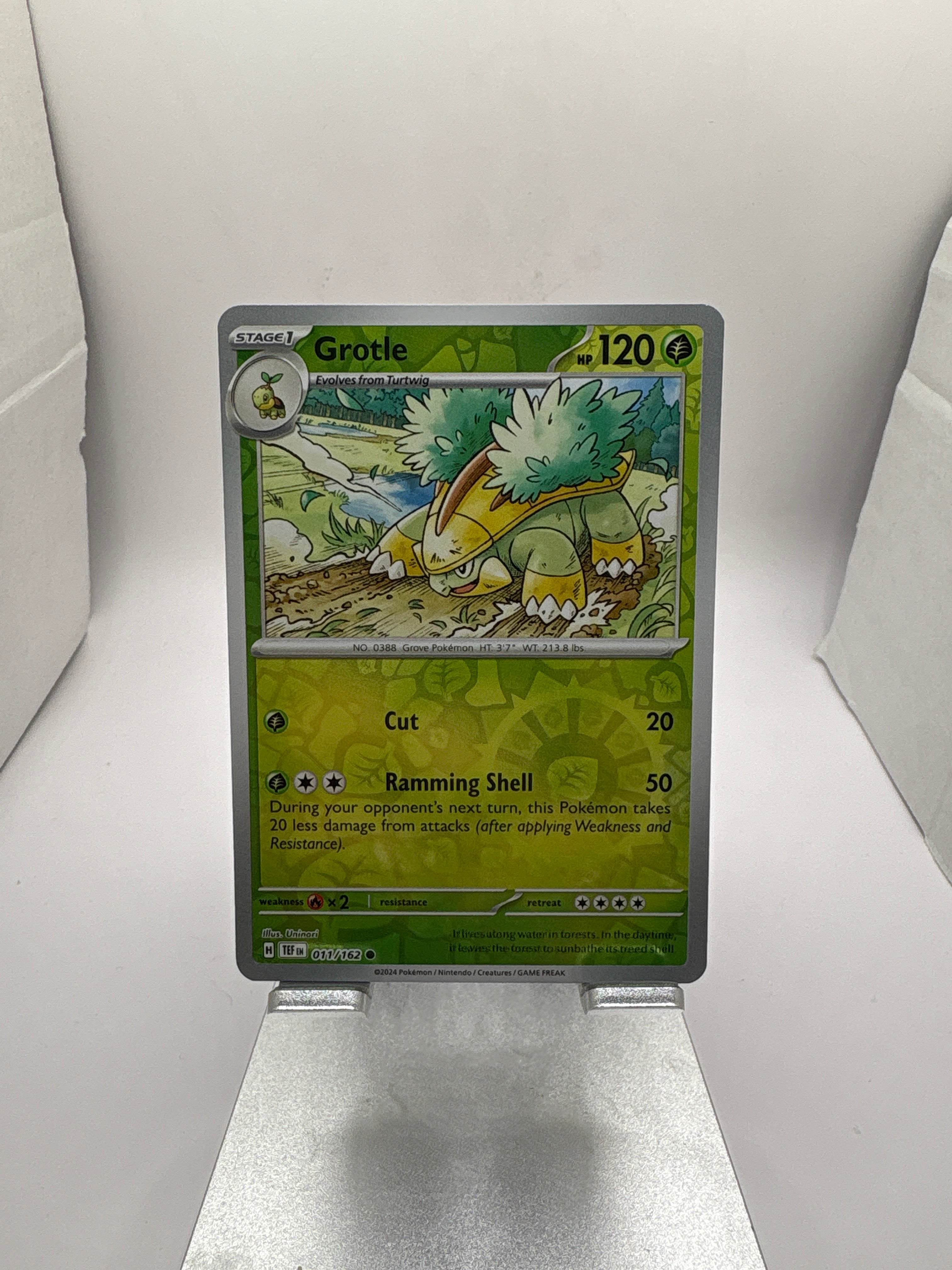 Pokemon Grotle Main image
