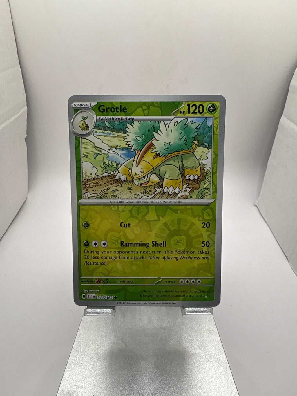 Pokemon Grotle