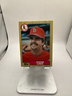 Topps Steve Lake