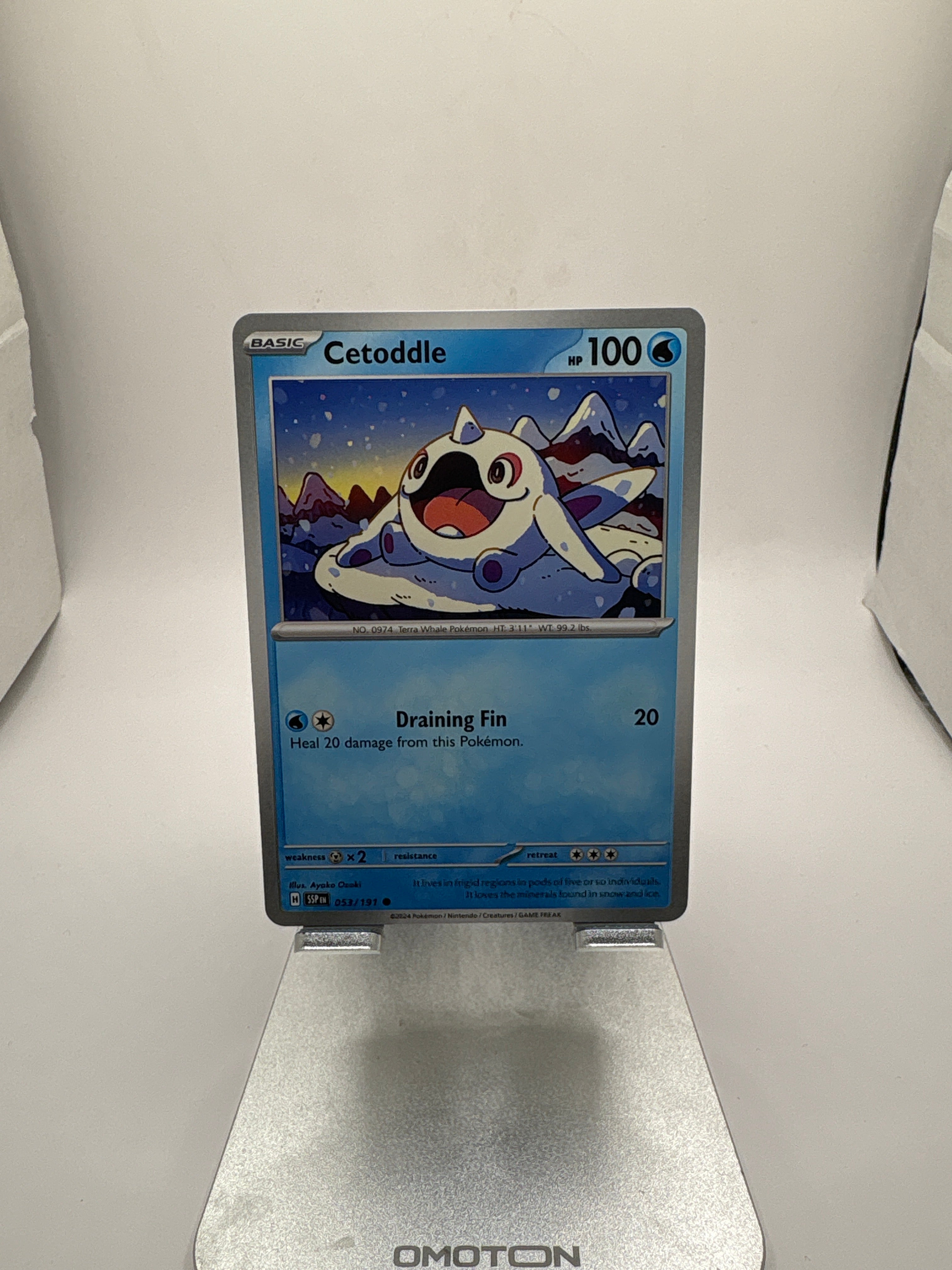 Pokemon Cetoddle Main image