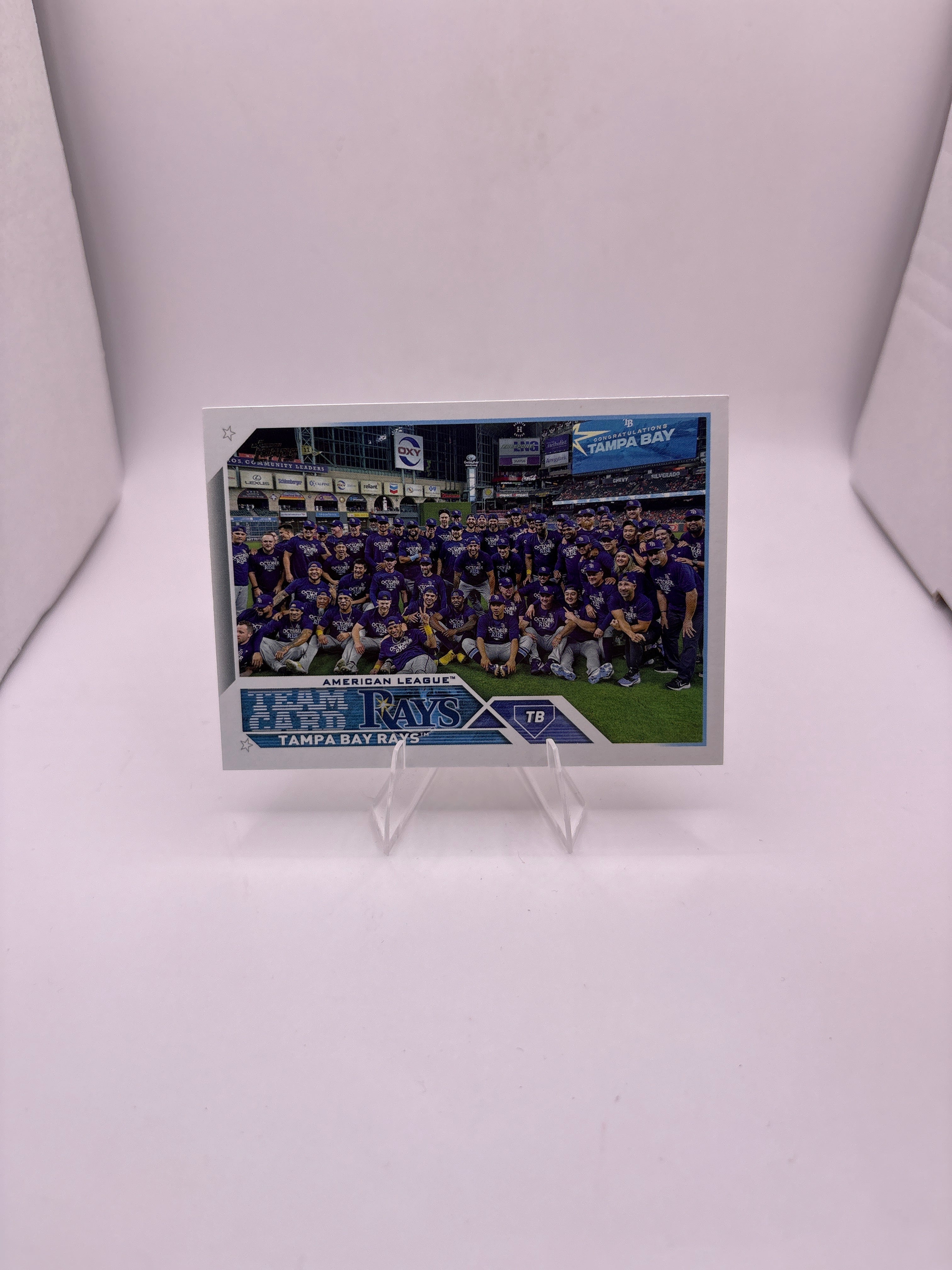 Topps Tampa Bay Rays Team Card Main image