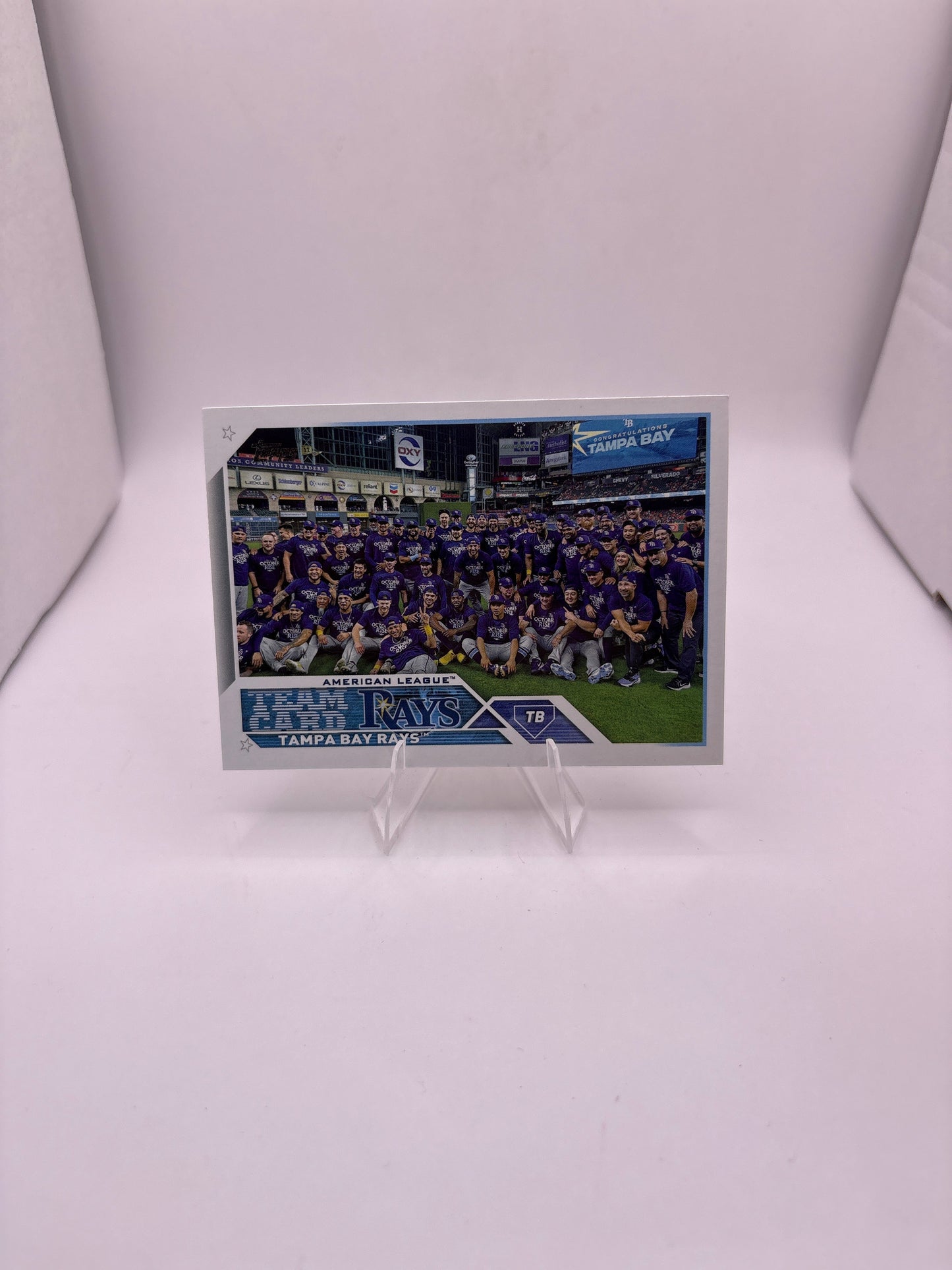 Topps Tampa Bay Rays Team Card