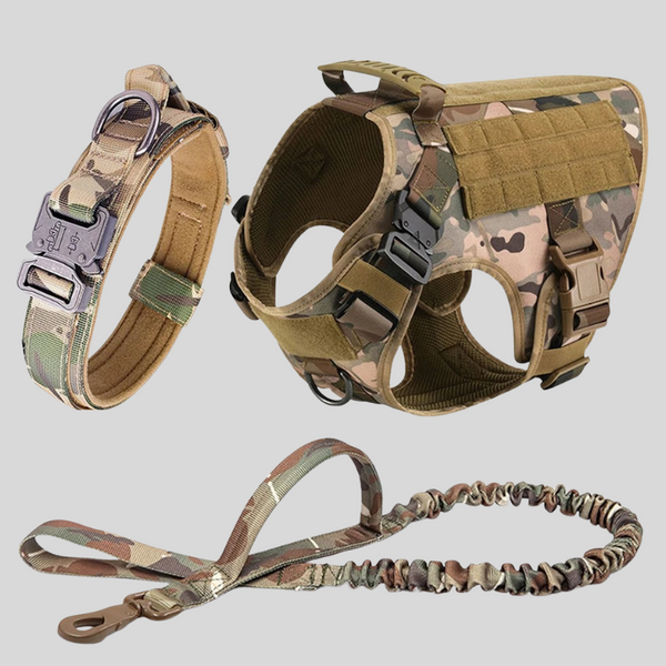Large Dog Harness & Leash Set – Training Vest for Big Breeds