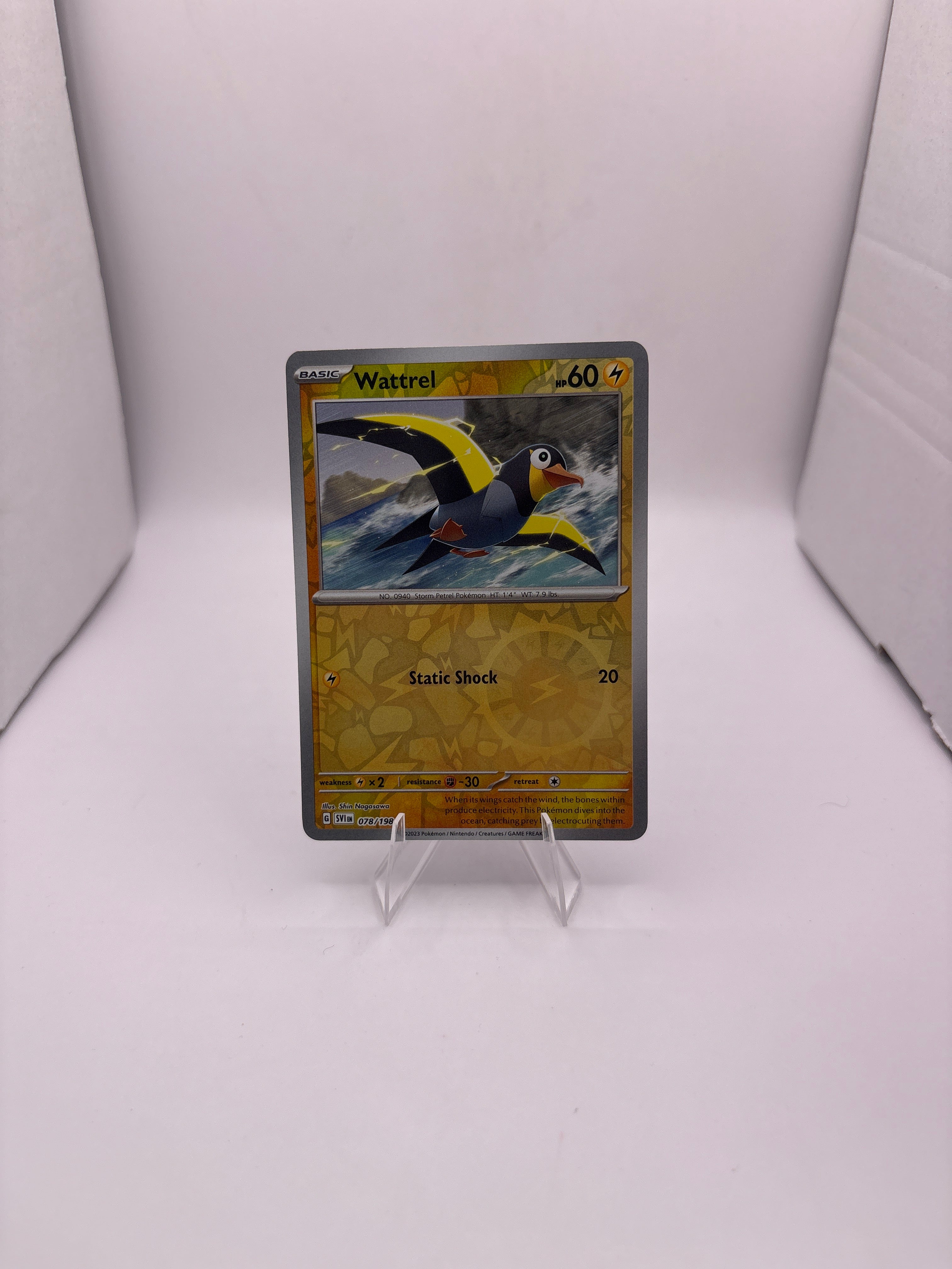 Pokemon Wattrel Main image