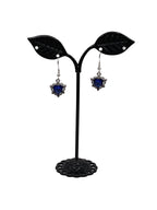 Heart of the Ocean Earrings