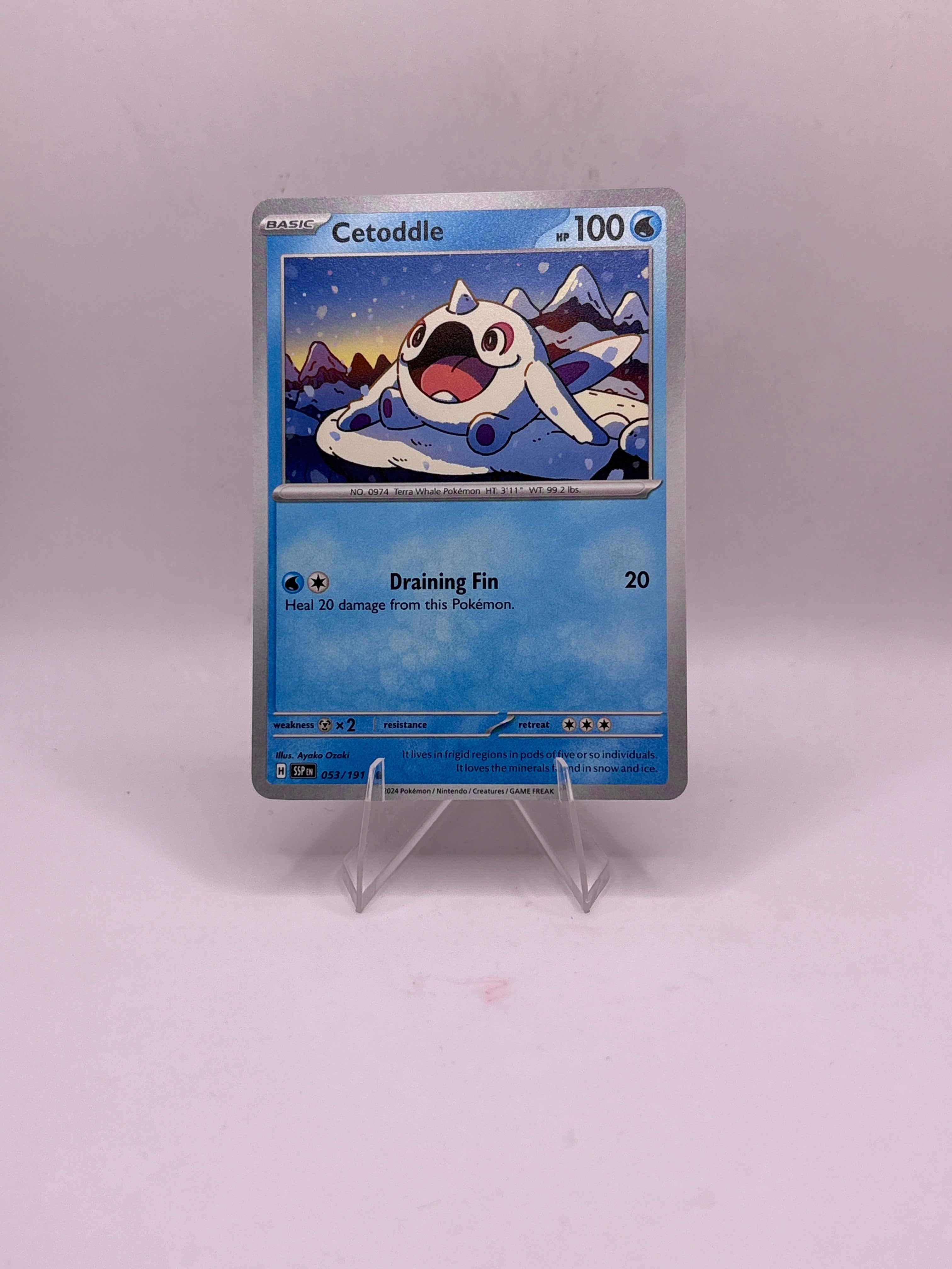 Pokemon Cetoddle Main image