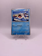 Pokemon Cetoddle