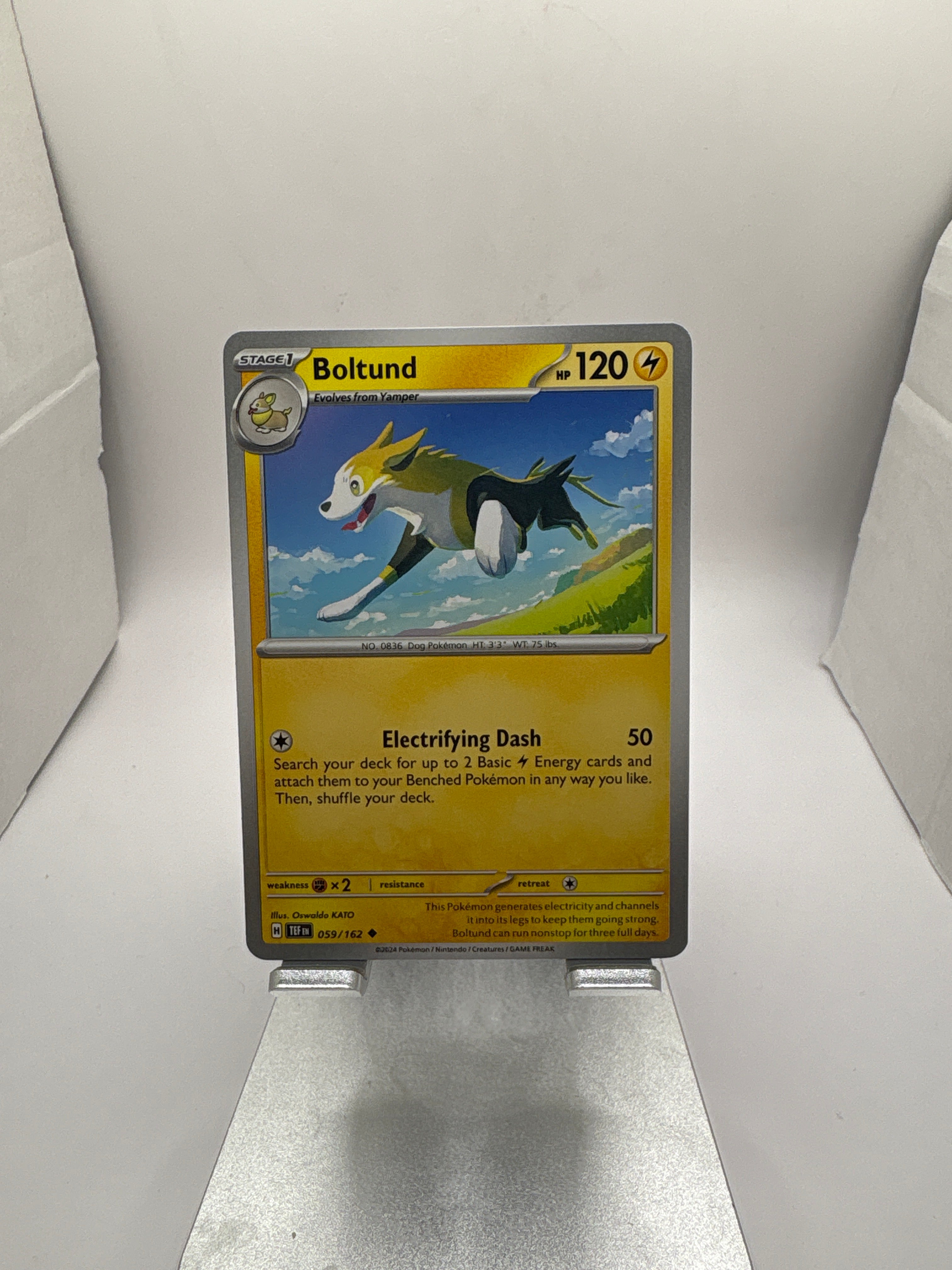 Pokemon Boltund Main image