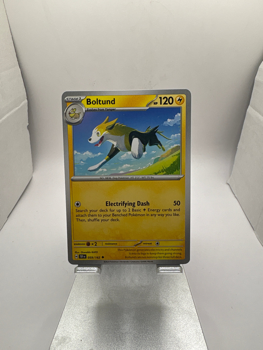 Pokemon Boltund