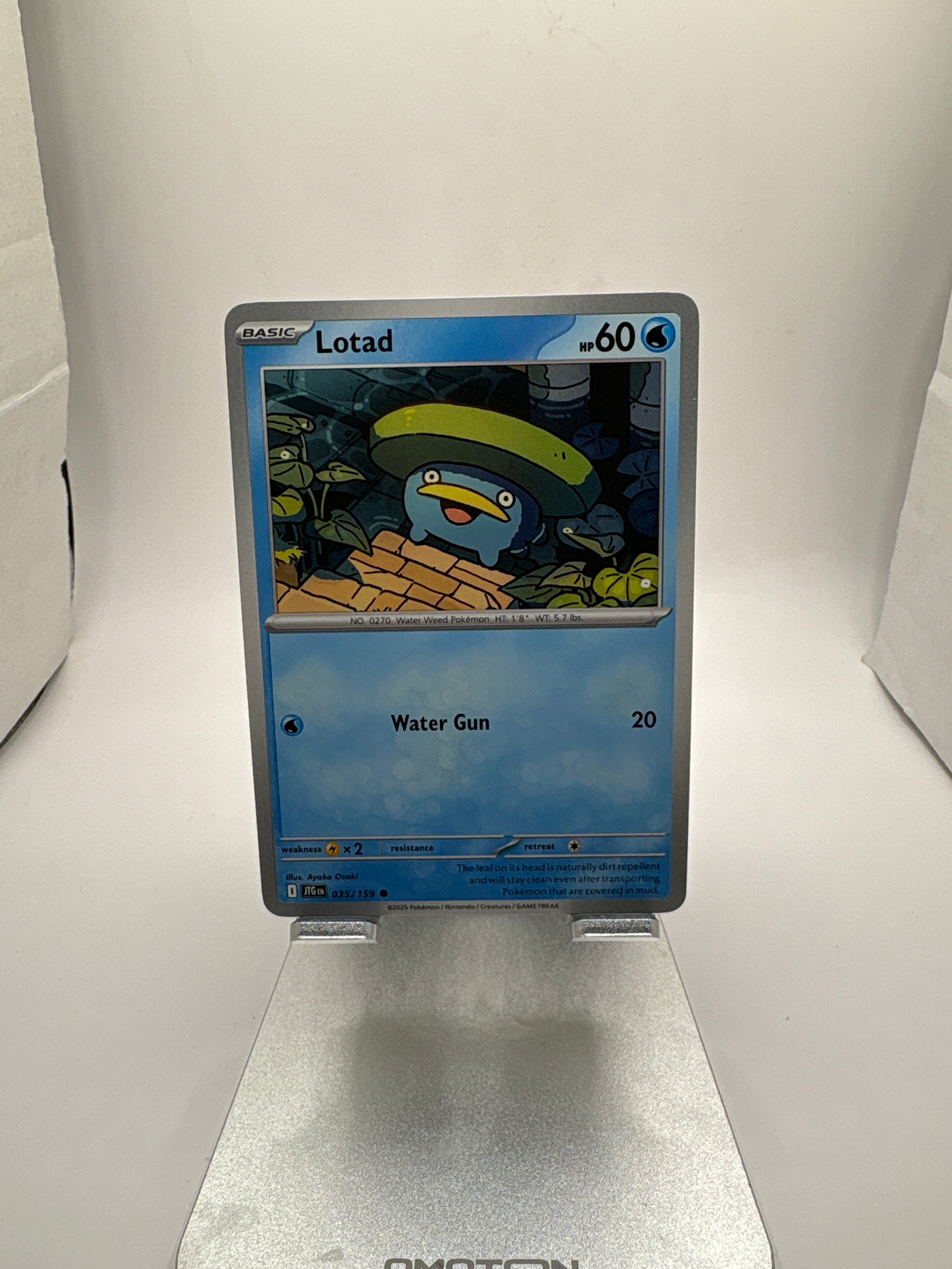 Pokemon Lotad Main image