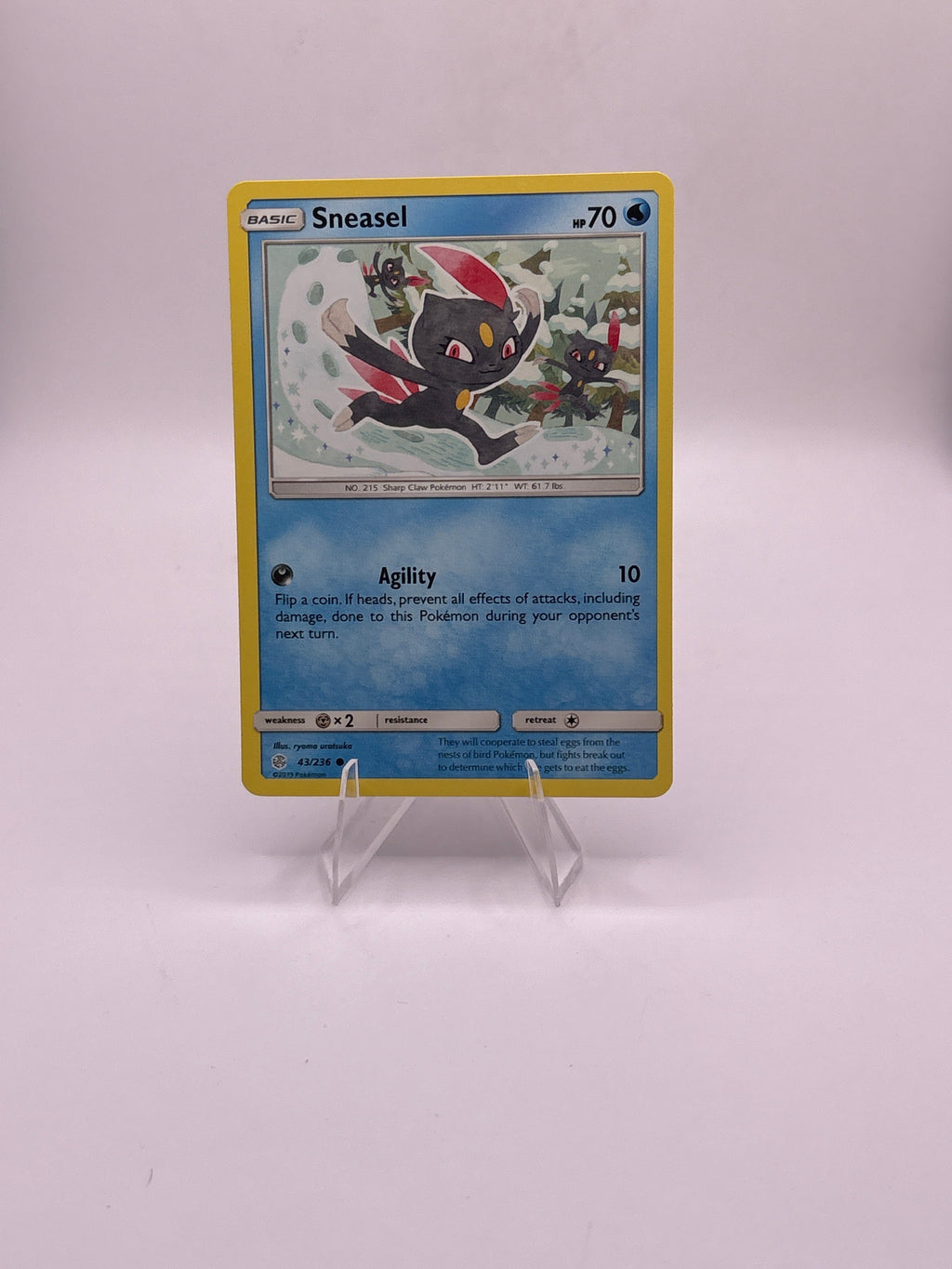 Pokemon Sneasel