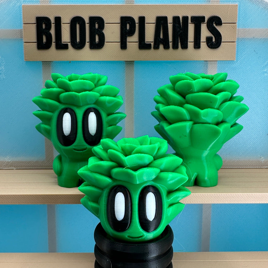 Succulent Blob Plant - Collectors World Toys