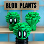 Succulent Blob Plant - Collectors World Toys