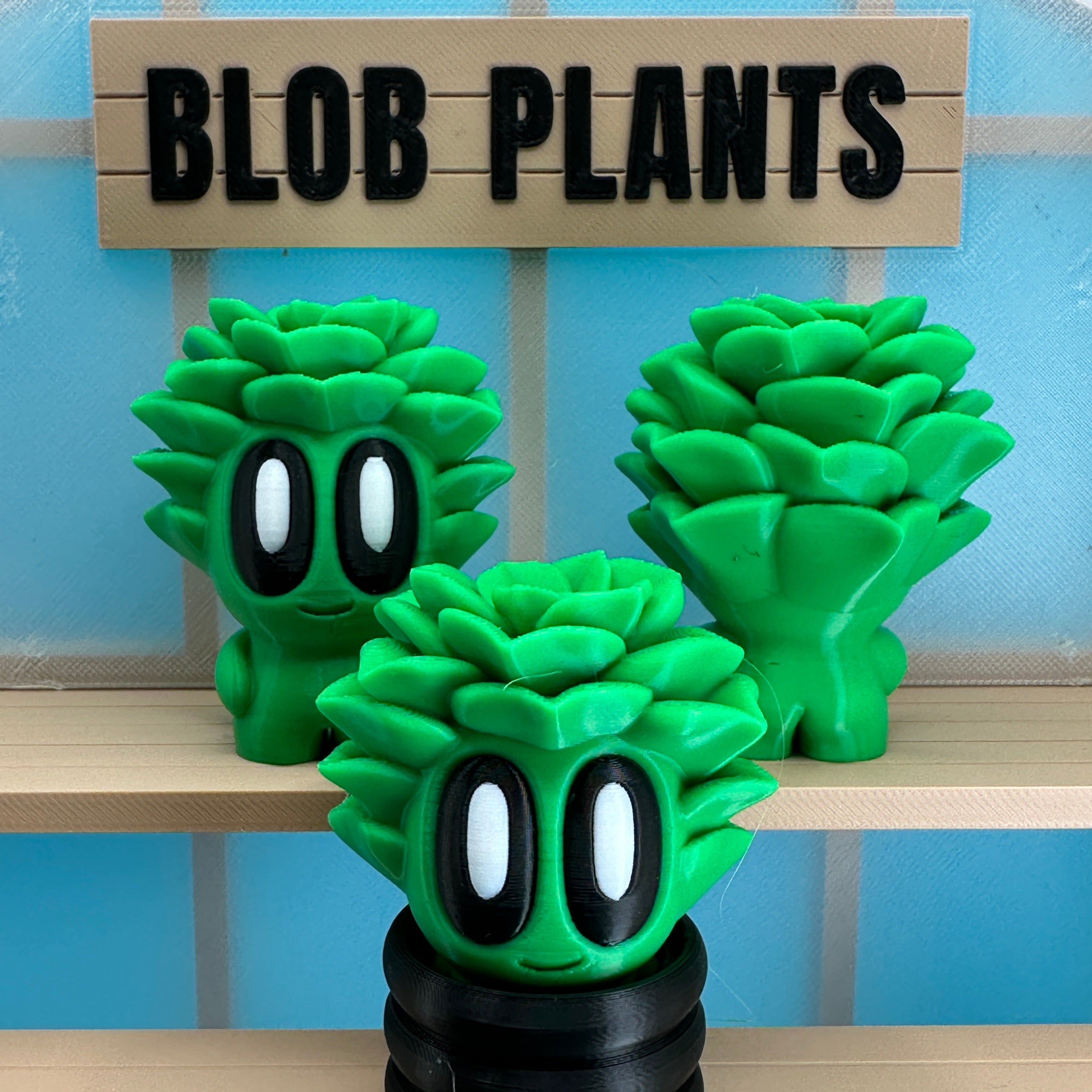 Succulent Blob Plant - Collectors World Toys