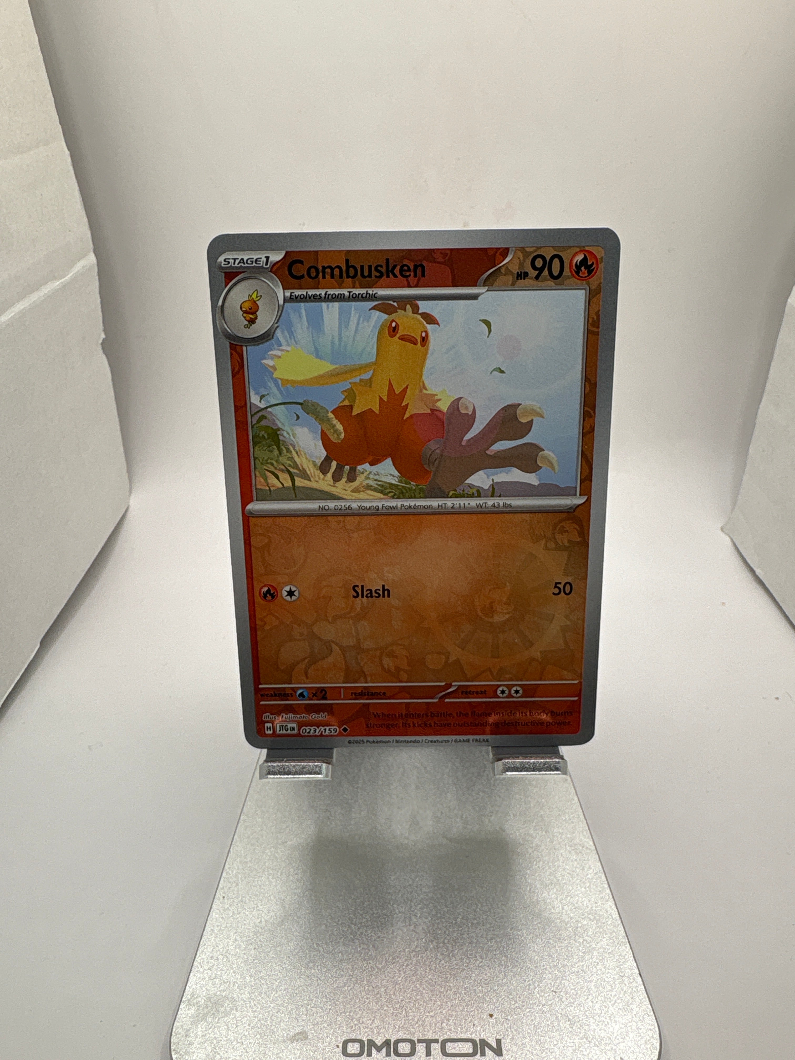 Pokemon Combusken Main image