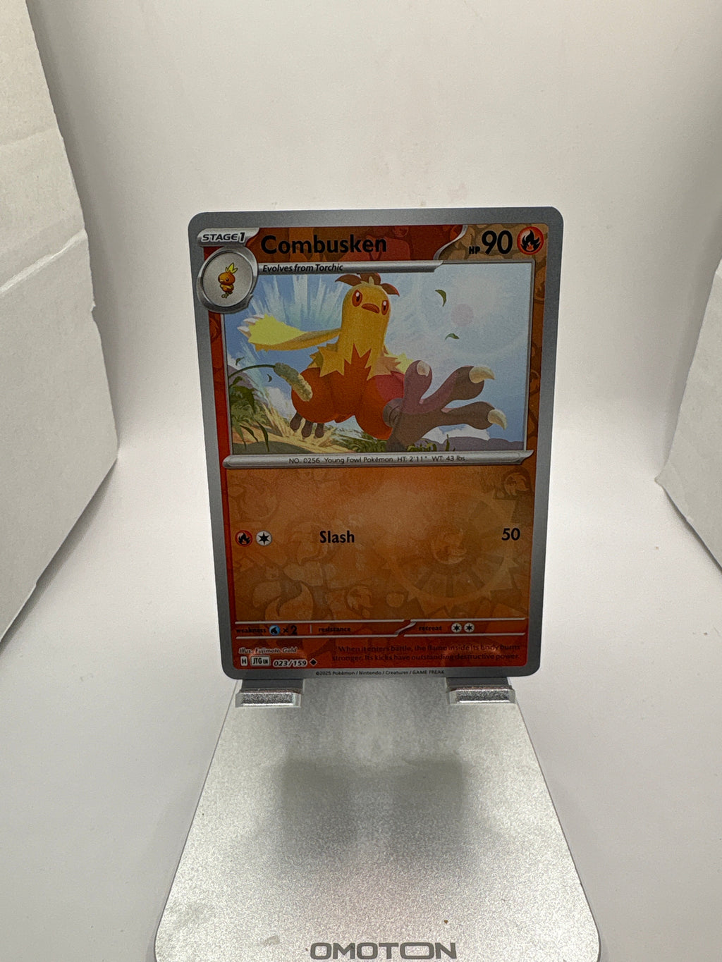 Pokemon Combusken