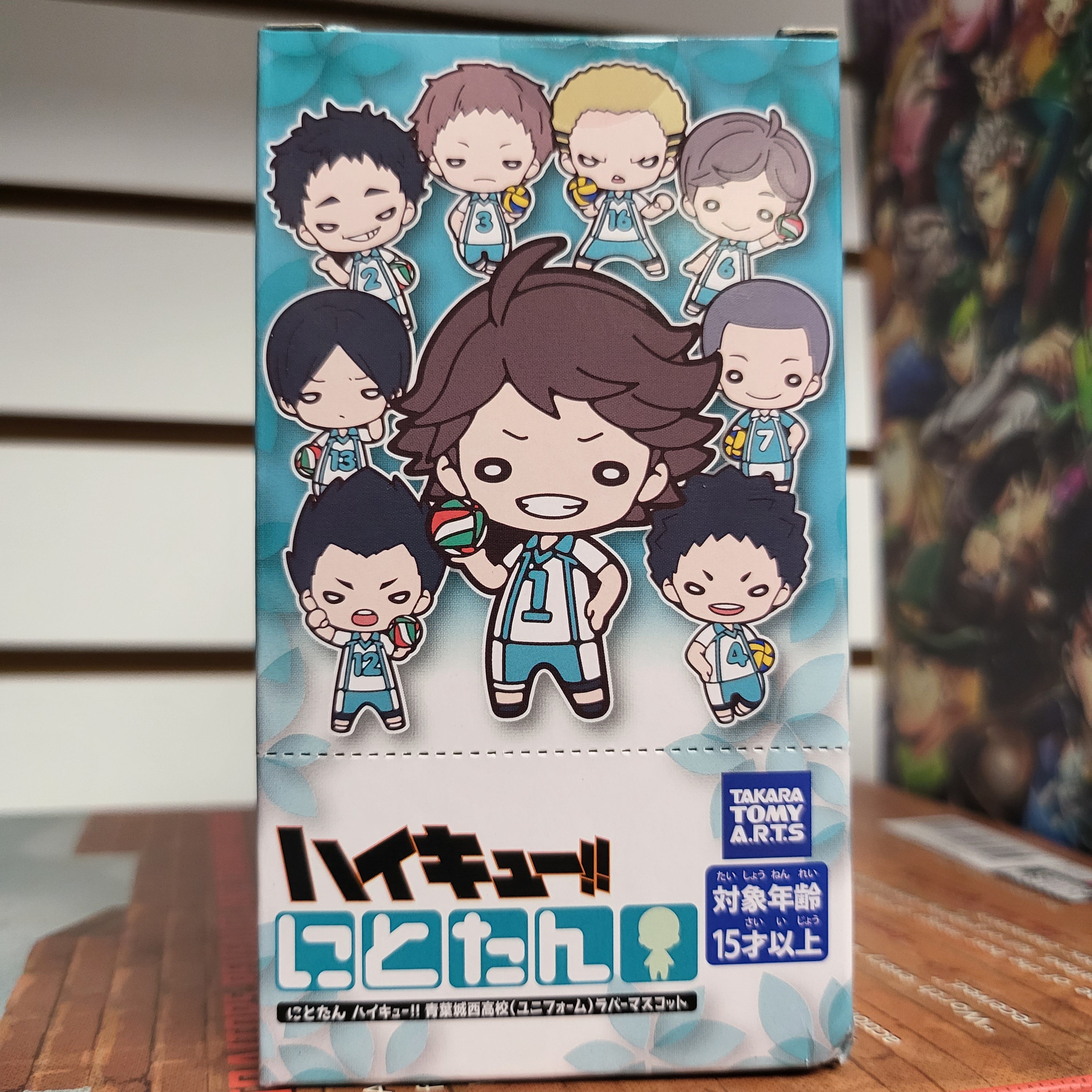 Haikyuu Rubber Keychain Blind Box Main image