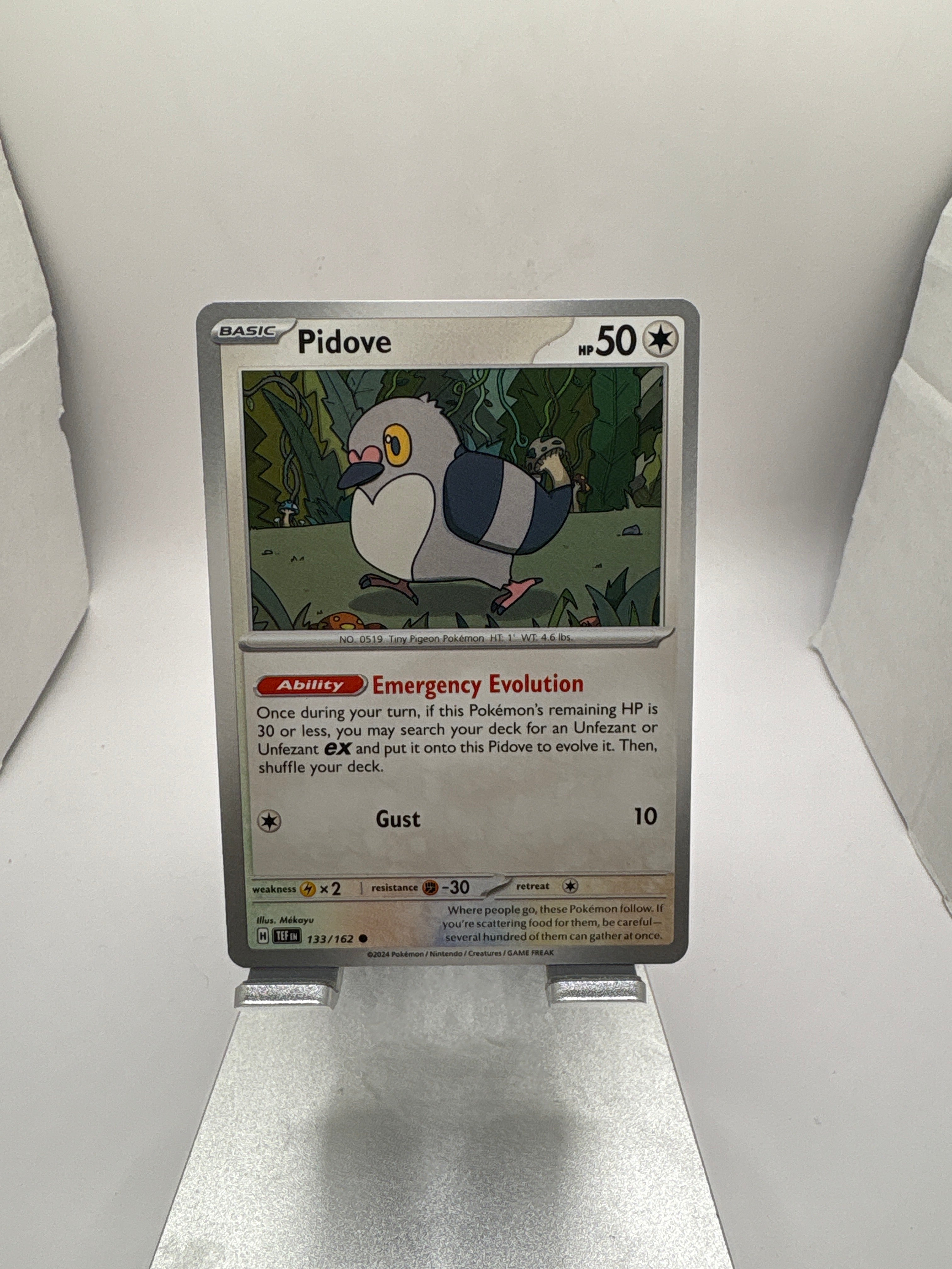Pokemon Pidove Main image