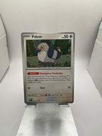 Pokemon Pidove