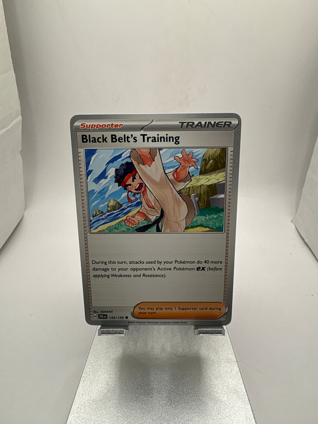 Pokemon Black Belt’s Training