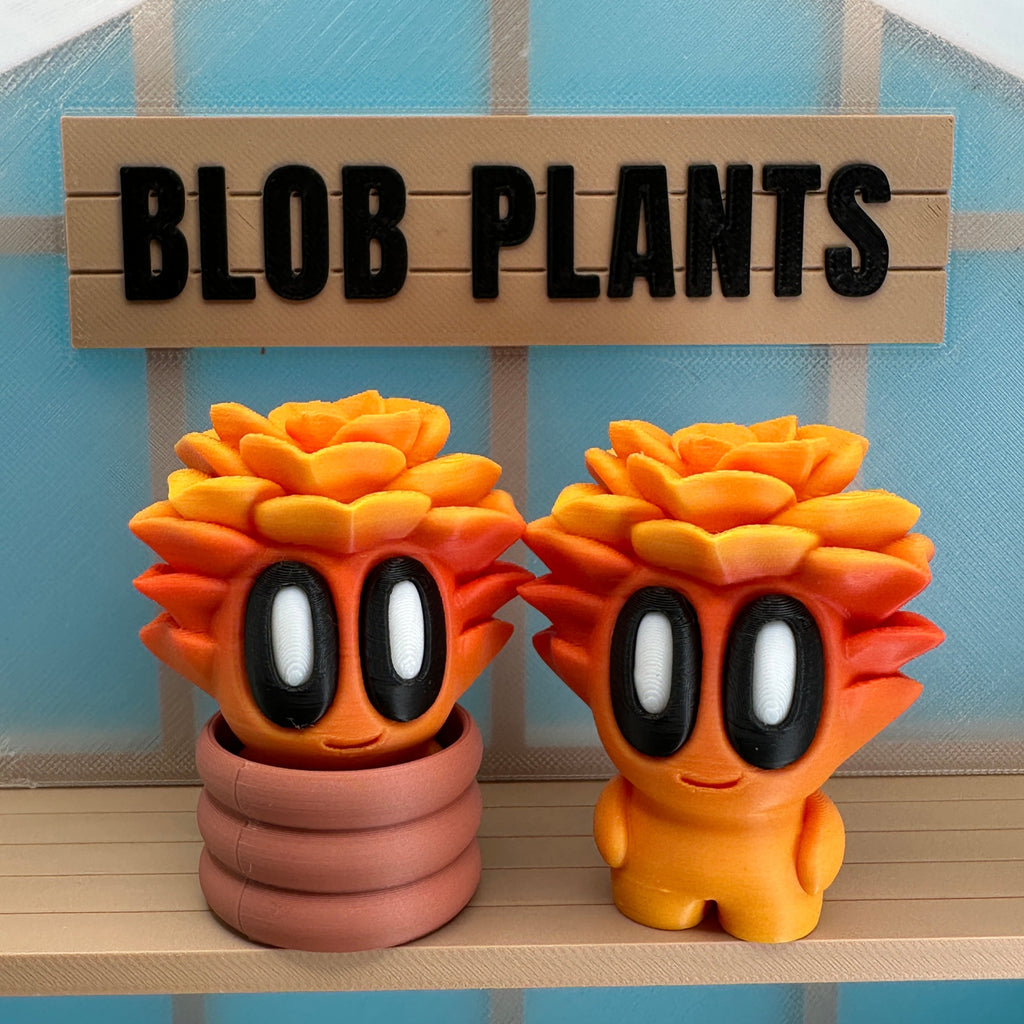 Succulent Blob Plant - Collectors World Toys