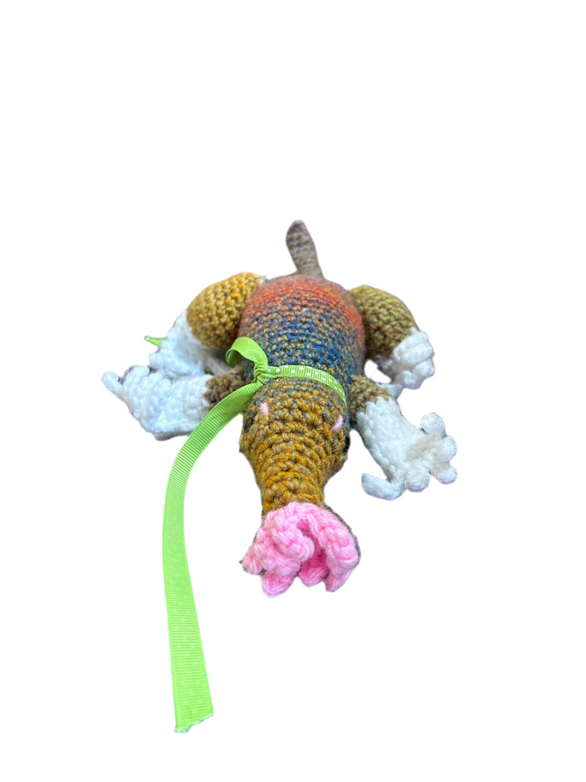 Star Nosed Mole Hover Image