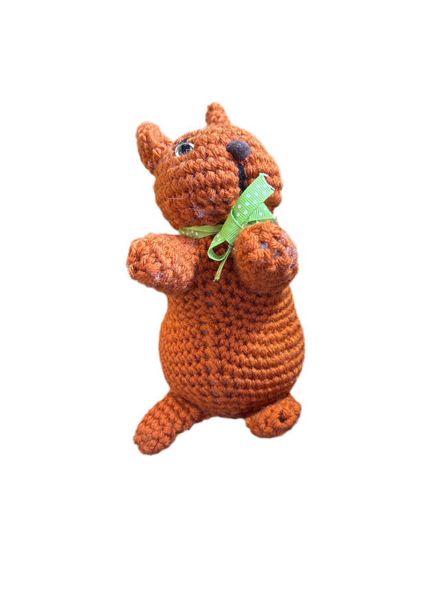 Squirrel Hover Image