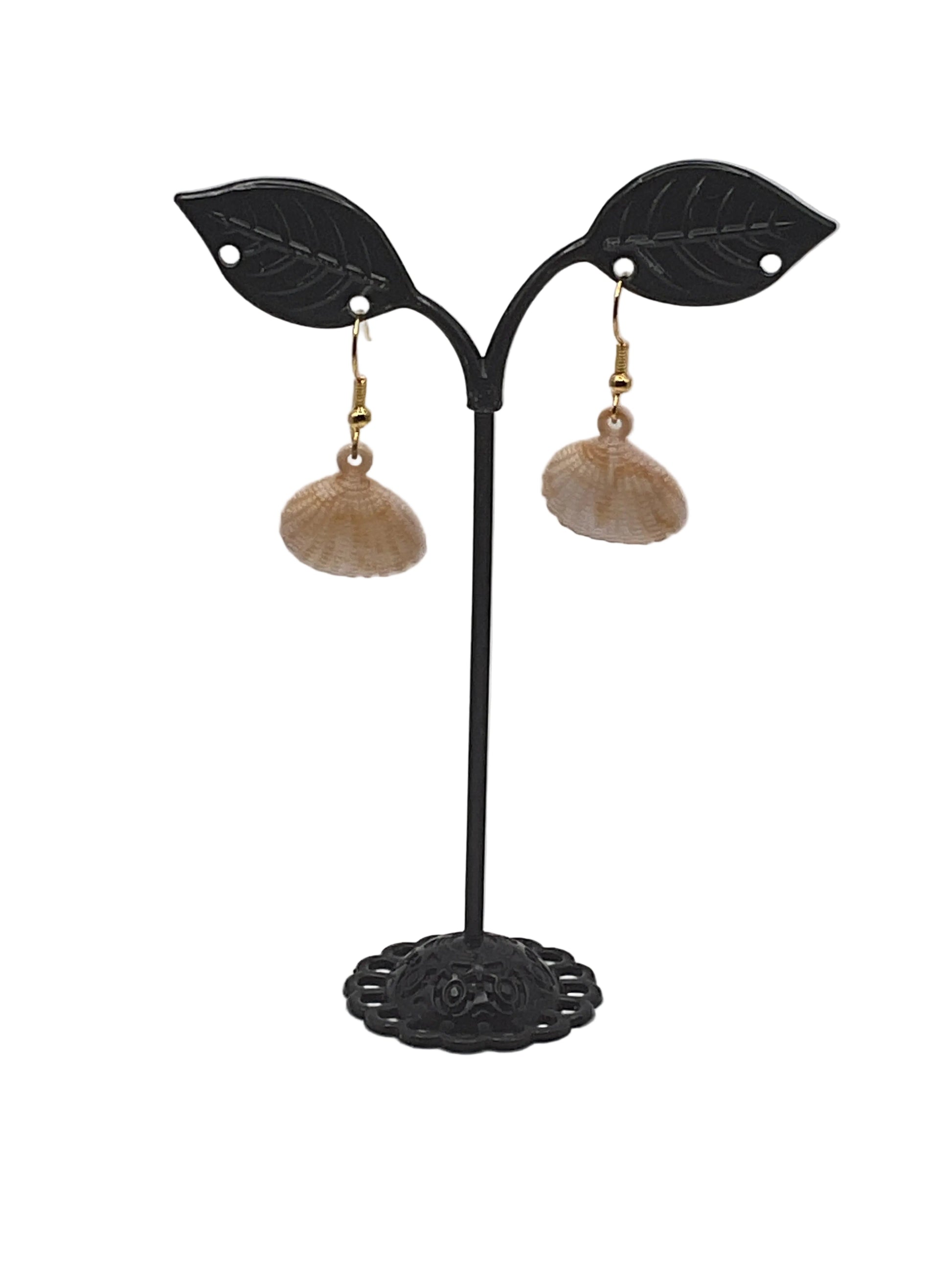 Cowry Shell Earrings