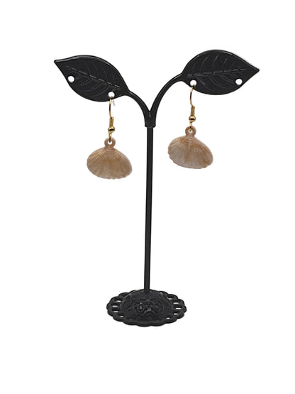 Cowry Shell Earrings