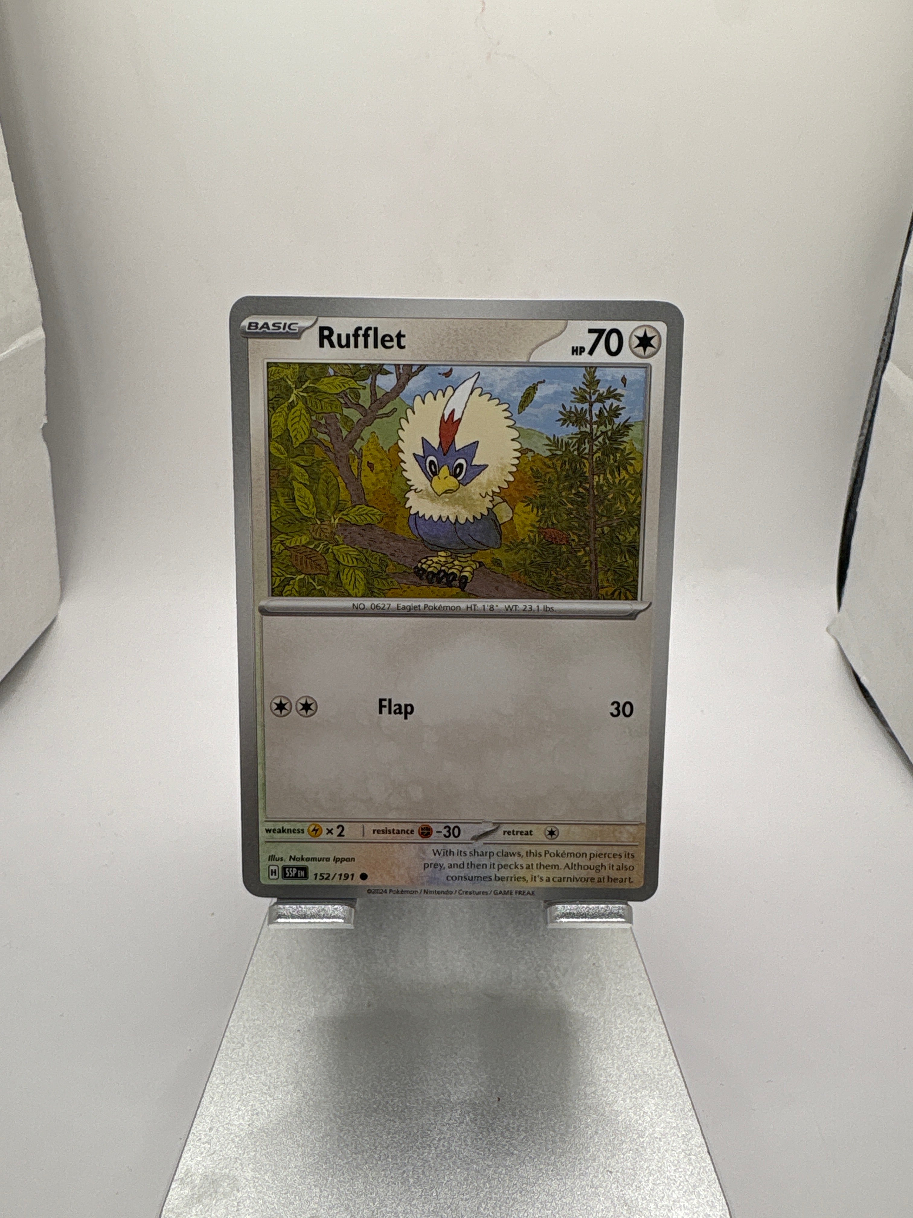 Pokemon Rufflet Main image